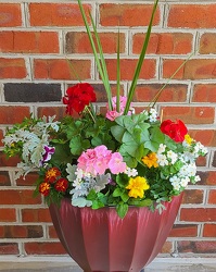 Burgundy Patio Planter from Antonina's Floral Design, your florist in Hardy,VA