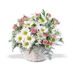 Baby Roses and Daisies from Antonina's Floral Design, your florist in Hardy,VA