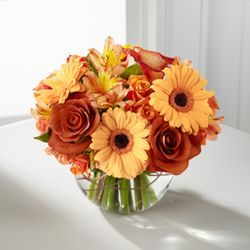 Bowl of Autumn from Antonina's Floral Design, your florist in Hardy,VA