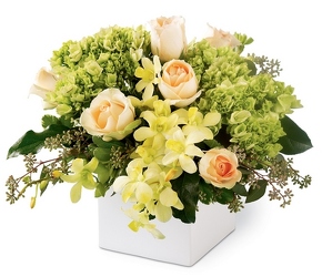 Box of Beauty from Antonina's Floral Design, your florist in Hardy,VA