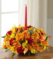 Happy Harvest  Centerpeice  from Antonina's Floral Design, your florist in Hardy,VA