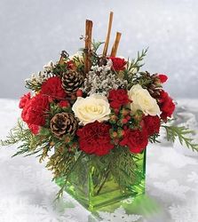 Holiday Cube from Antonina's Floral Design, your florist in Hardy,VA