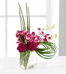 Hot Magenta from Antonina's Floral Design, your florist in Hardy,VA