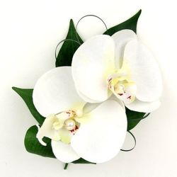 Phalaenopsis Orchid Wristlet from Antonina's Floral Design, your florist in Hardy,VA