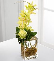 Simple & Elegant from Antonina's Floral Design, your florist in Hardy,VA