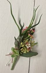 Succulent and Air plant Boutineer from Antonina's Floral Design, your florist in Hardy,VA