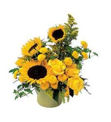 Golden Sun from Antonina's Floral Design, your florist in Hardy,VA