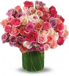 Rose Rapture- 3, 4, or 5 dozen Roses from Antonina's Floral Design, your florist in Hardy,VA