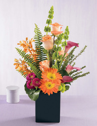 The Tropics from Antonina's Floral Design, your florist in Hardy,VA