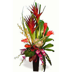 Tropical Island from Antonina's Floral Design, your florist in Hardy,VA