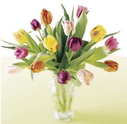 Tulips Tulips from Antonina's Floral Design, your florist in Hardy,VA