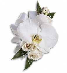 White Phalaenopsis with Baby White Roses from Antonina's Floral Design, your florist in Hardy,VA