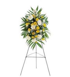 Yellow Dawn Spray  from Antonina's Floral Design, your florist in Hardy,VA